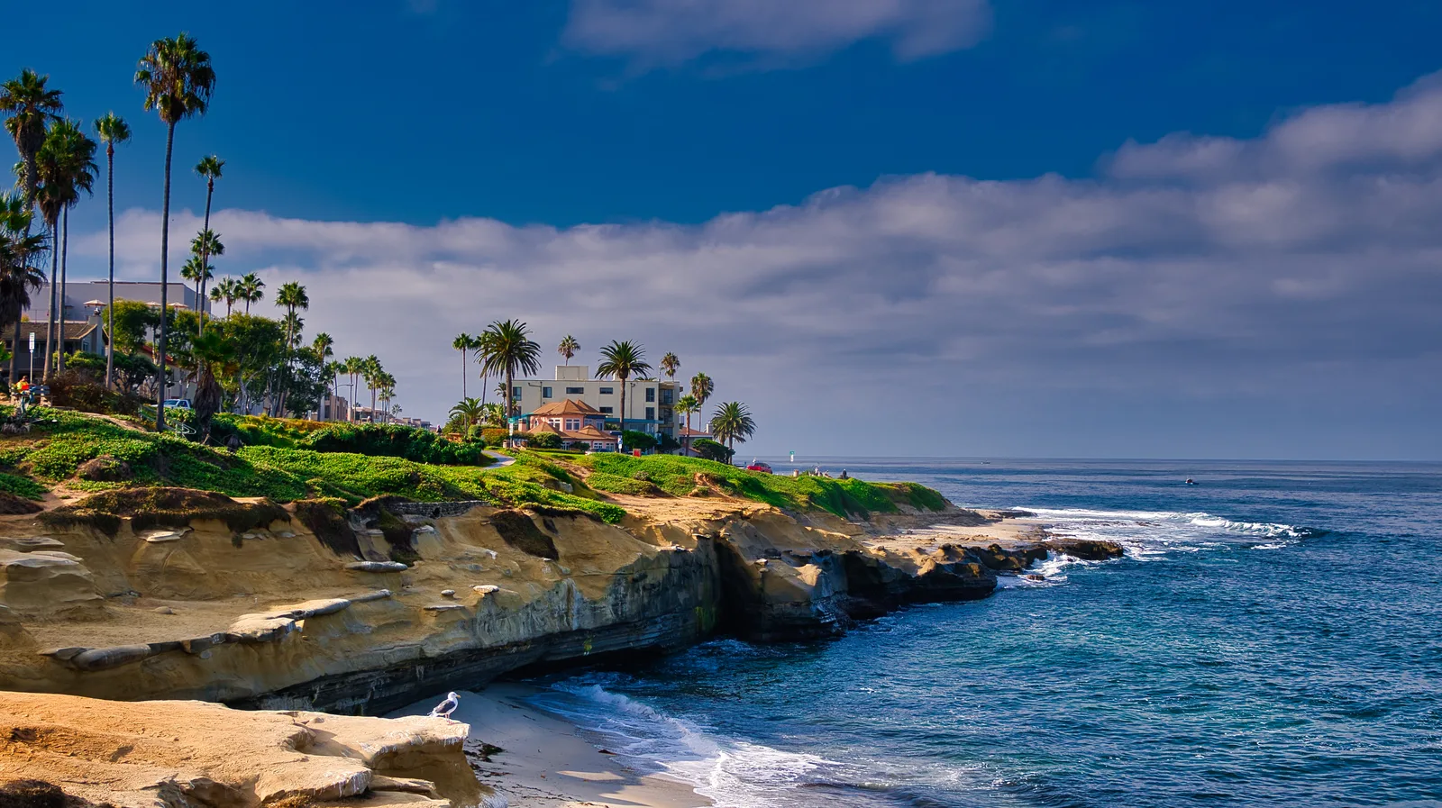 Blum Realty Group