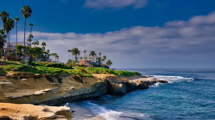 Blum Realty Group