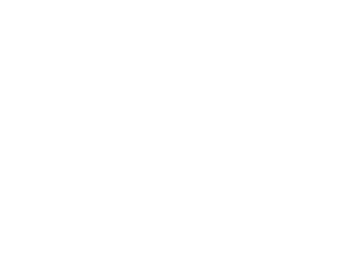 Blum Realty Group