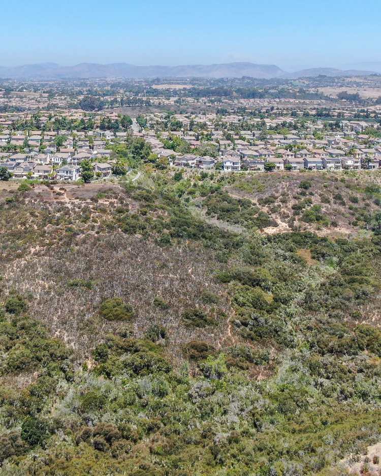 Residential neighborhood bordering canyon vegetation in Rancho Peñasquitos